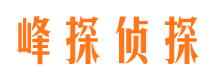 赫山市婚外情取证